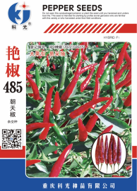 科光種苗“艷椒485”辣椒、“秋實(shí)1號”甘藍(lán)分別入選2025年農(nóng)業(yè)主導(dǎo)品種、農(nóng)作物優(yōu)良品種推廣目錄